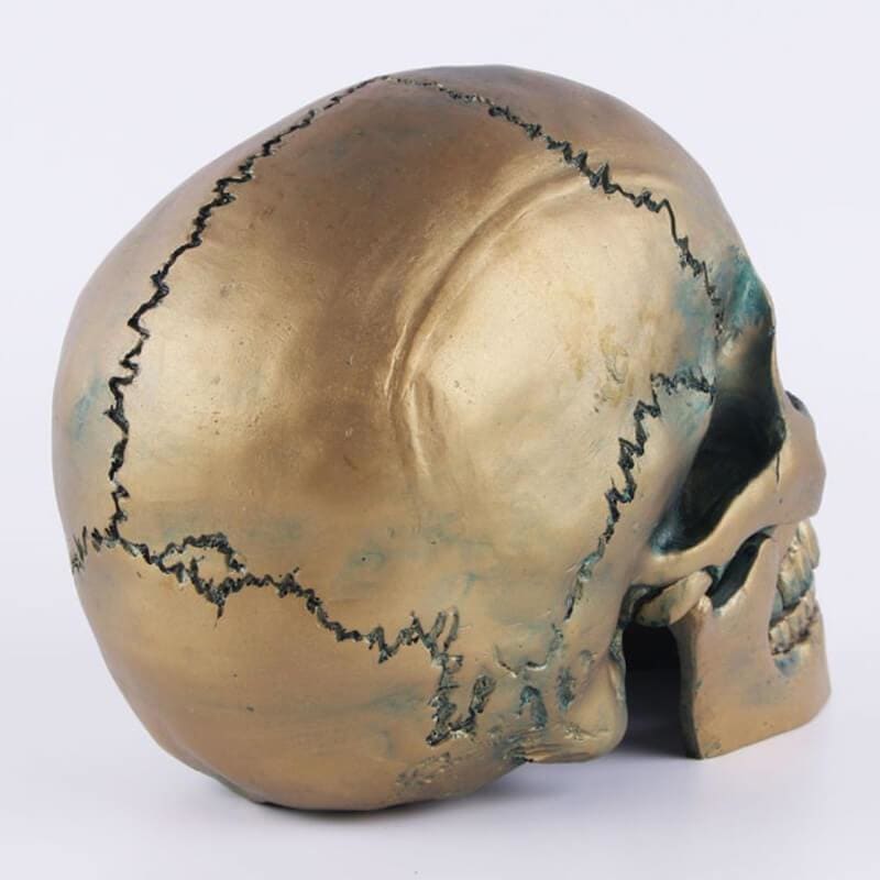 Statue tête de mort - crâne en bronze 15 cm – Image 4