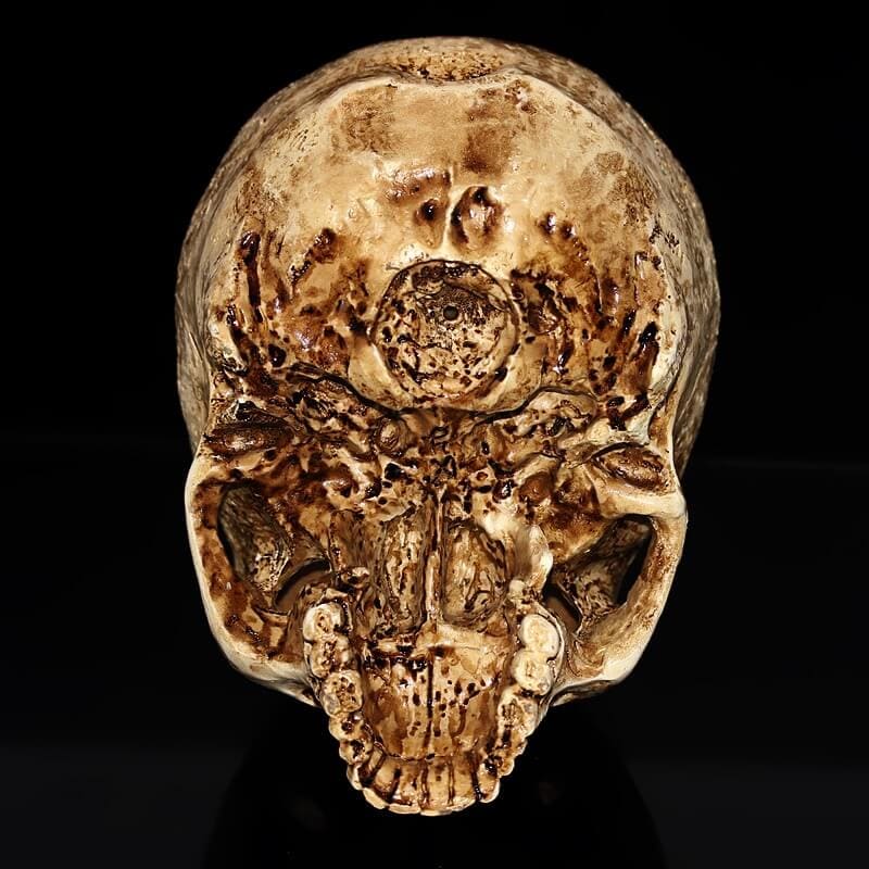 Statue tête de mort - relique crânienne vintage de 15 cm – Image 4