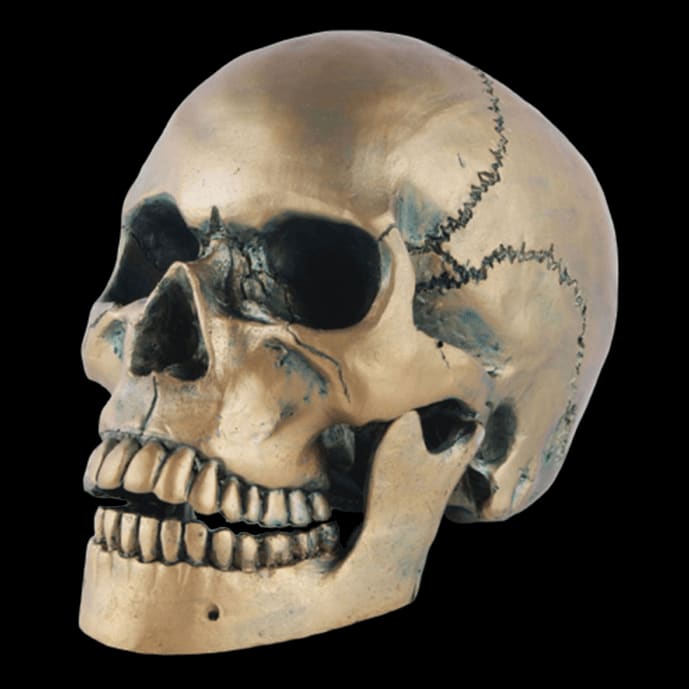 Statue tête de mort - crâne en bronze 15 cm – Image 2
