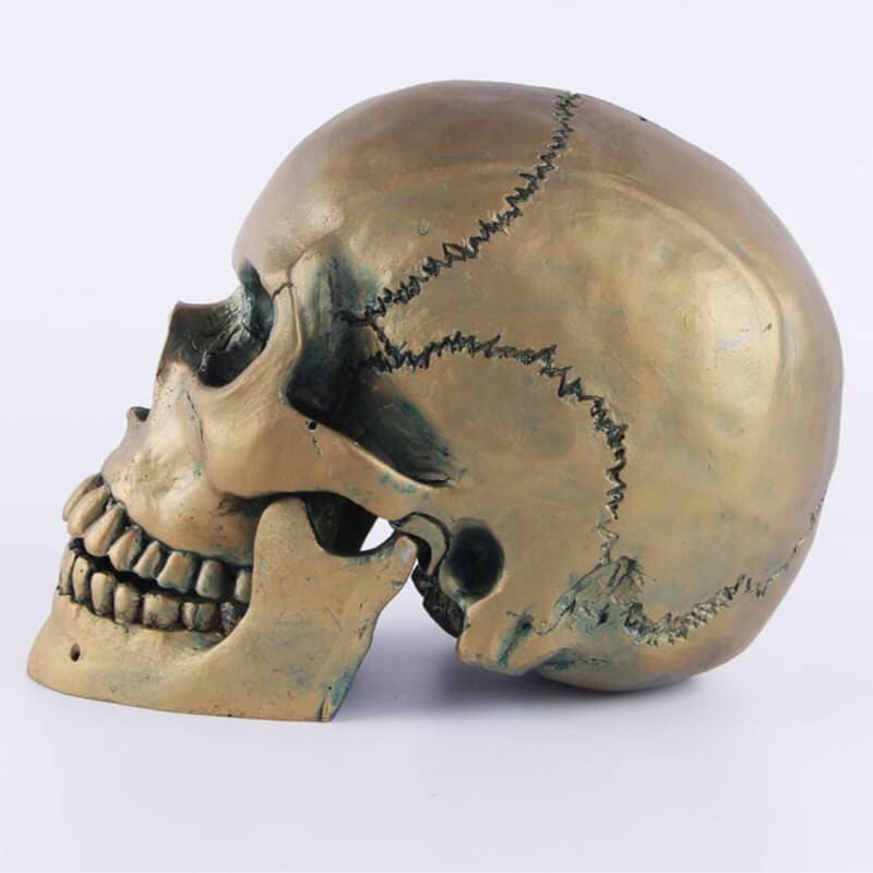 Statue tête de mort - crâne en bronze 15 cm – Image 3