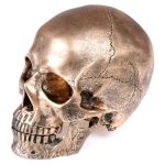 Statue tête de mort en résine teintée bronze de 14 cm
