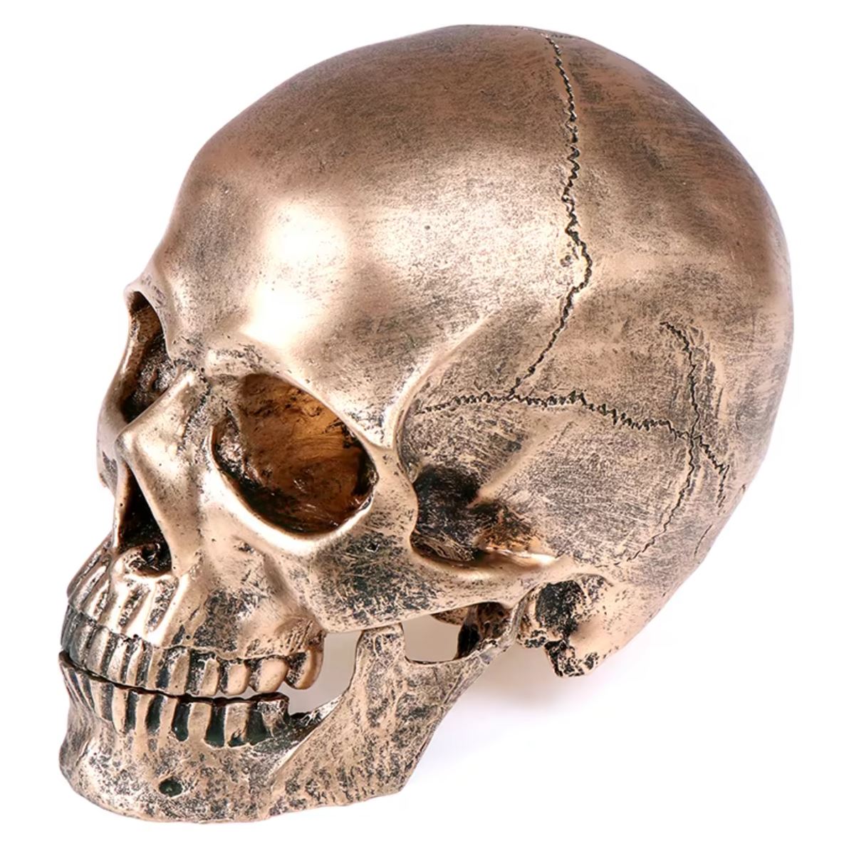Statue tête de mort en résine teintée bronze de 14 cm