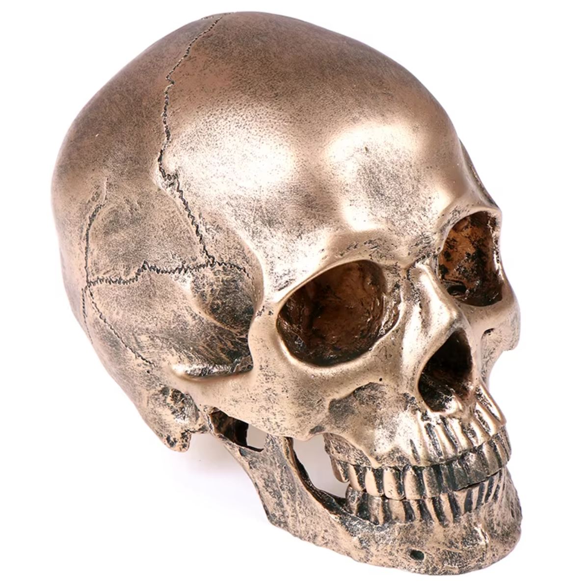 Statue tête de mort en résine teintée bronze de 14 cm – Image 2