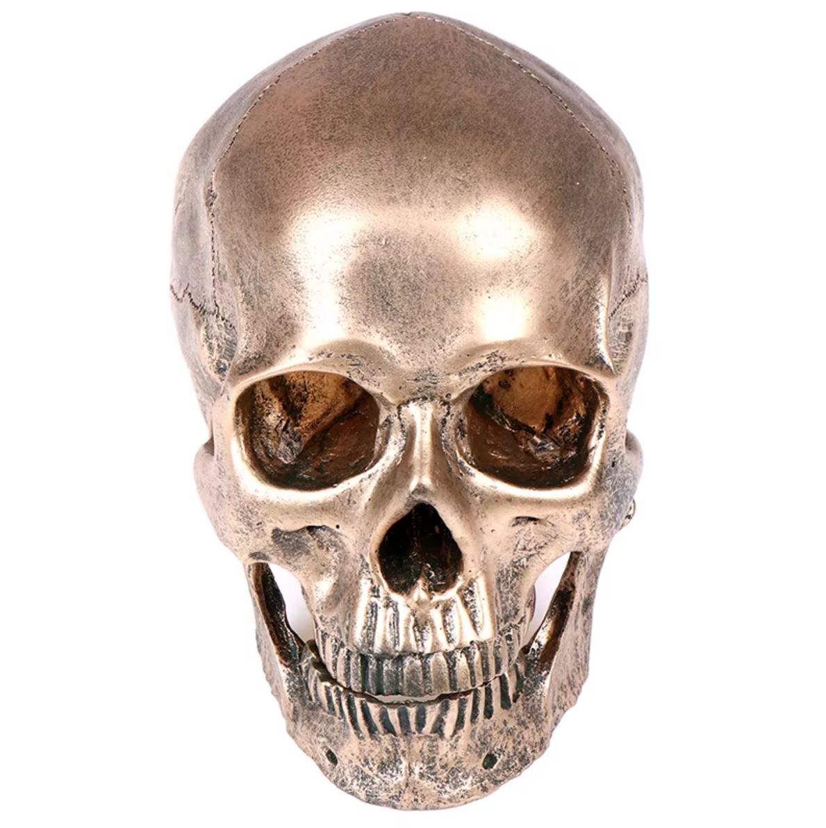 Statue tête de mort en résine teintée bronze de 14 cm – Image 3