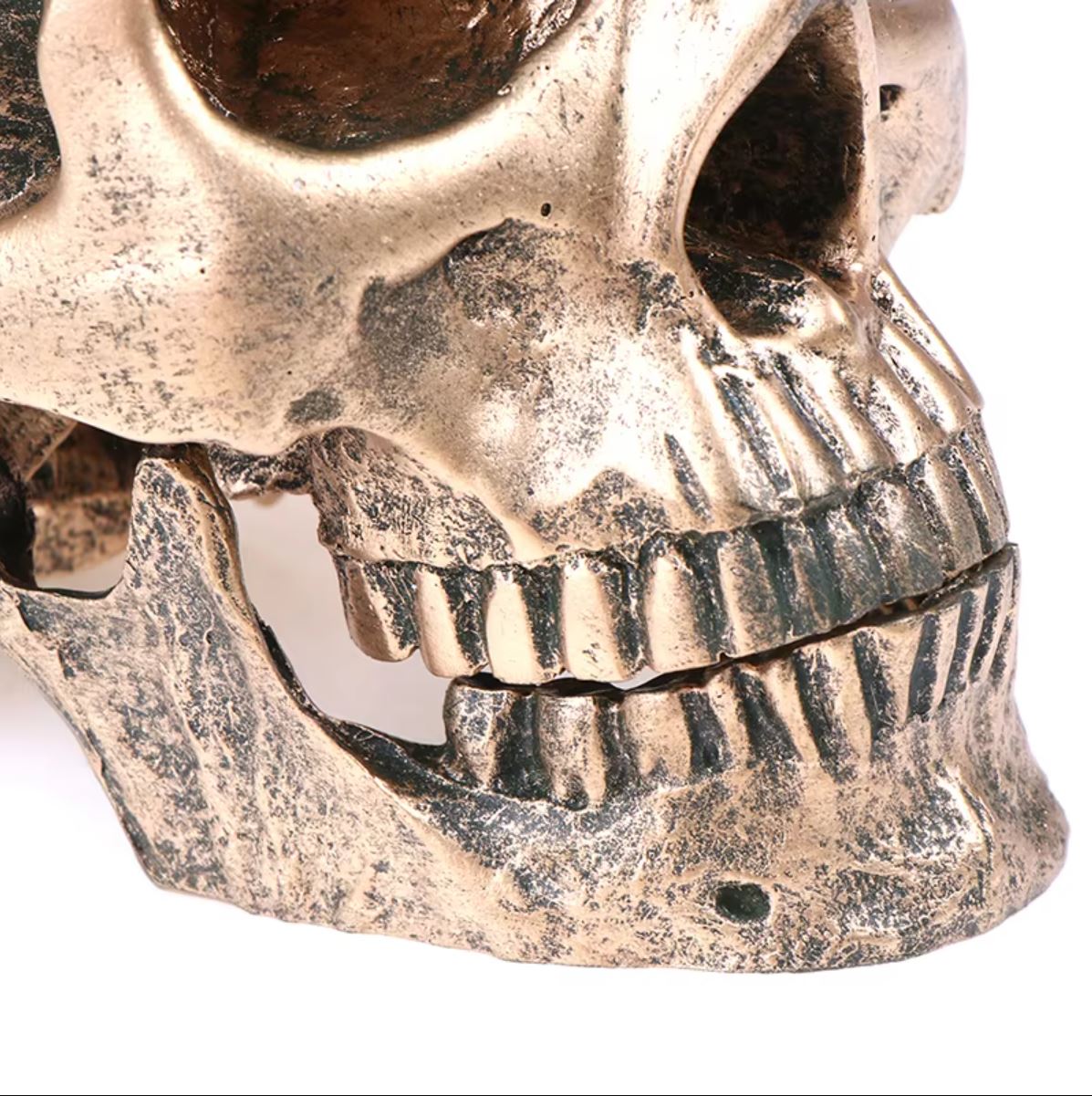 Statue tête de mort en résine teintée bronze de 14 cm – Image 5