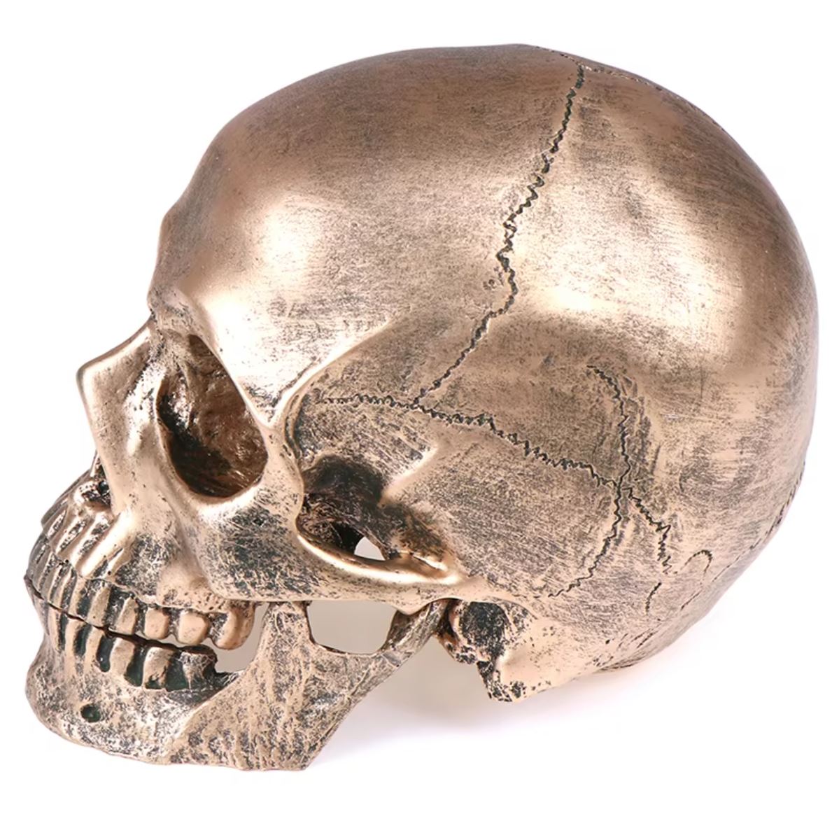 Statue tête de mort en résine teintée bronze de 14 cm – Image 4