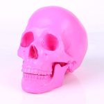 Statue tête de mort : ornement crânien décoratif