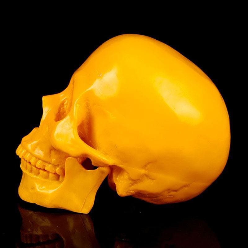 Statue tête de mort : ornement crânien décoratif – Image 6