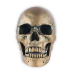 Statue tête de mort - crâne en bronze 15 cm