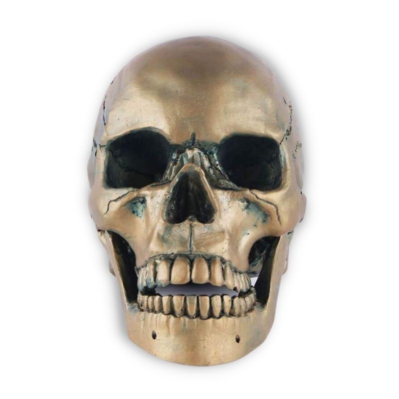Statue tête de mort - crâne en bronze 15 cm
