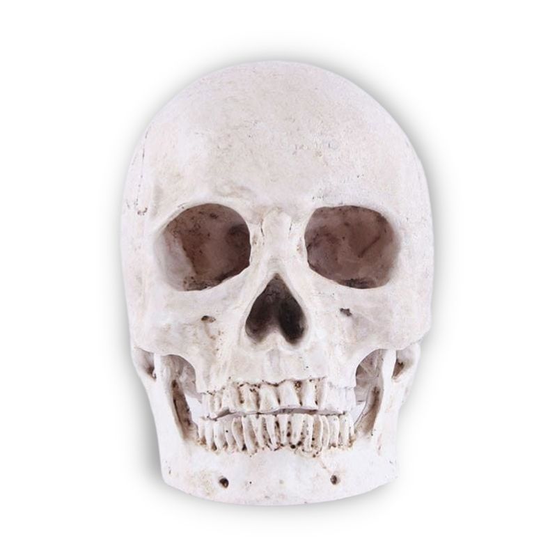Statue tête de mort ornemente 14 centimètres